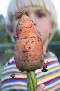 Monster Carrot