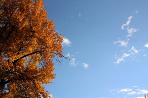 Fall Missoula Sky