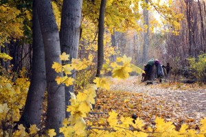 Fall Day